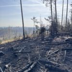 Waldbrand Königsforst Tütberg