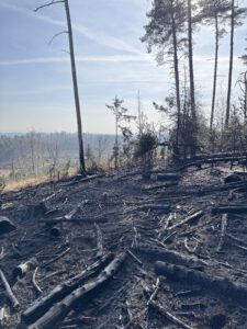 17. Waldbrand