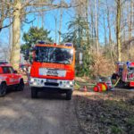 Waldbrand Königsforst Bergisch Gladbach